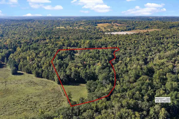 252 County Road 4560, Winnsboro, TX 75494