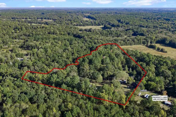 252 County Road 4560, Winnsboro, TX 75494