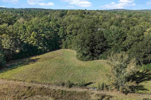 252 County Road 4560, Winnsboro, TX 75494