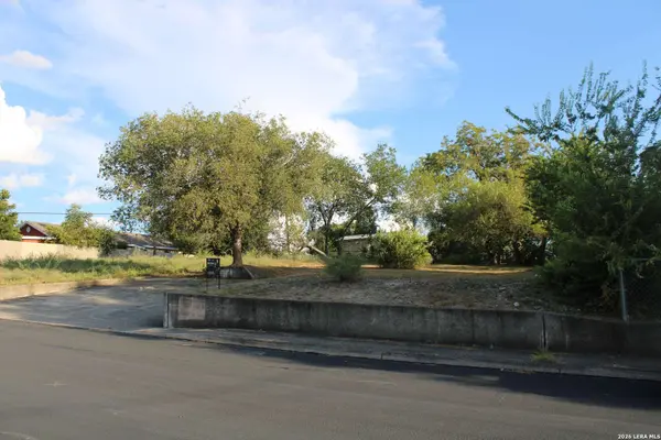 2330 MCKINLEY AVE, San Antonio, TX 78210