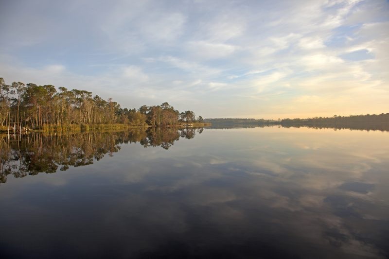 davenport fl