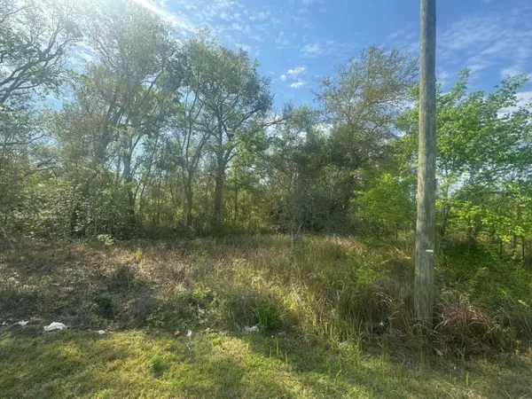 00 Old Polk City RD