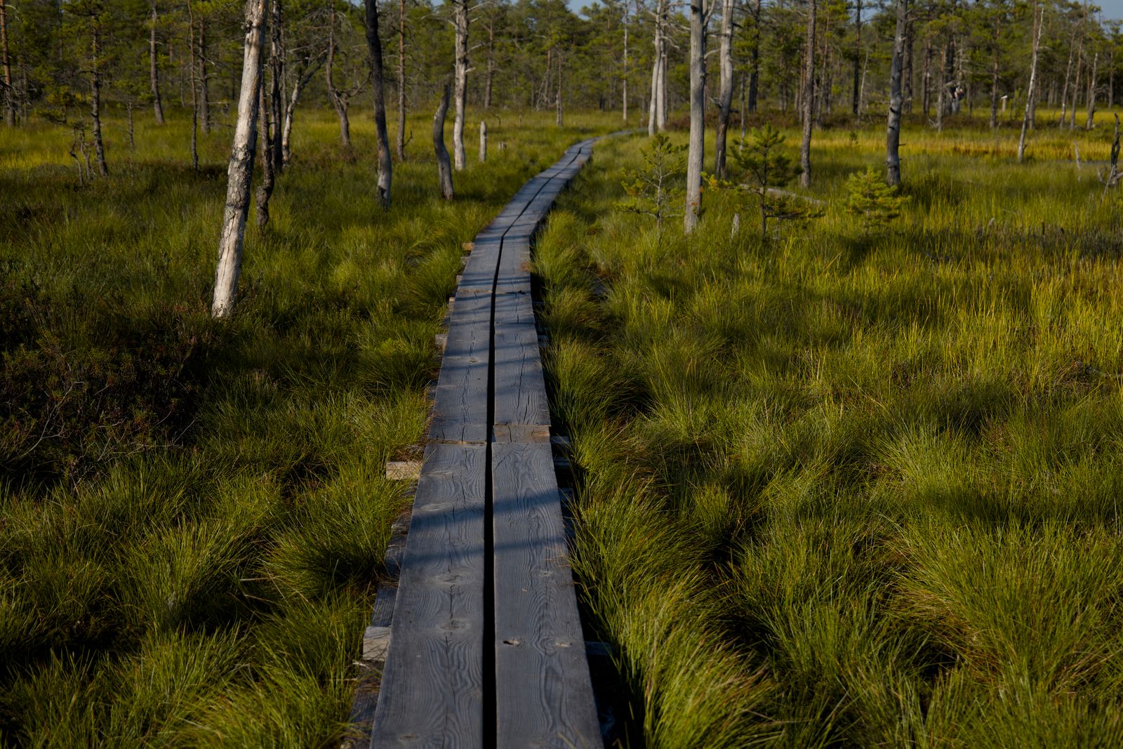 Baldwin Park, Florida — Parks & Recreation