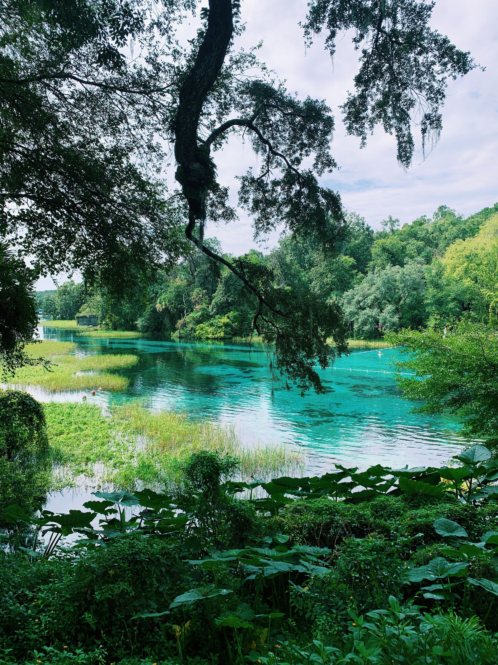 Longwood, Florida