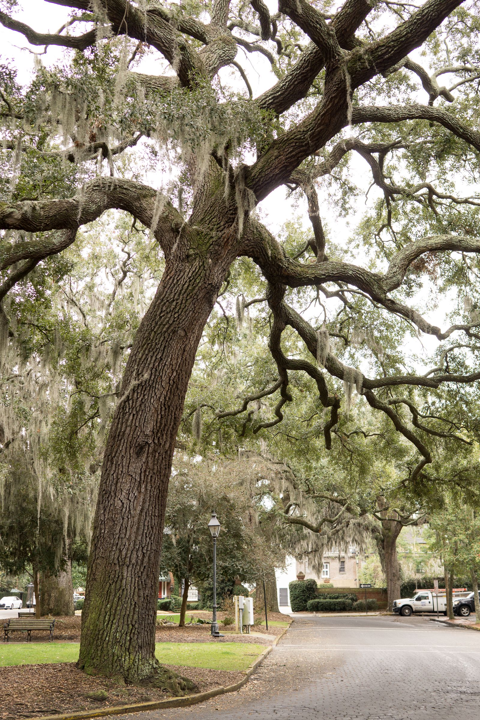 Longwood, Florida — Local Attractions