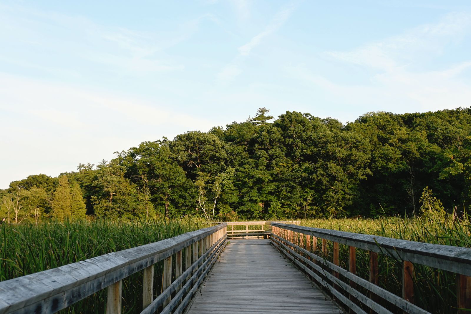 Heathrow / Lake Mary, Florida — Parks & Recreation