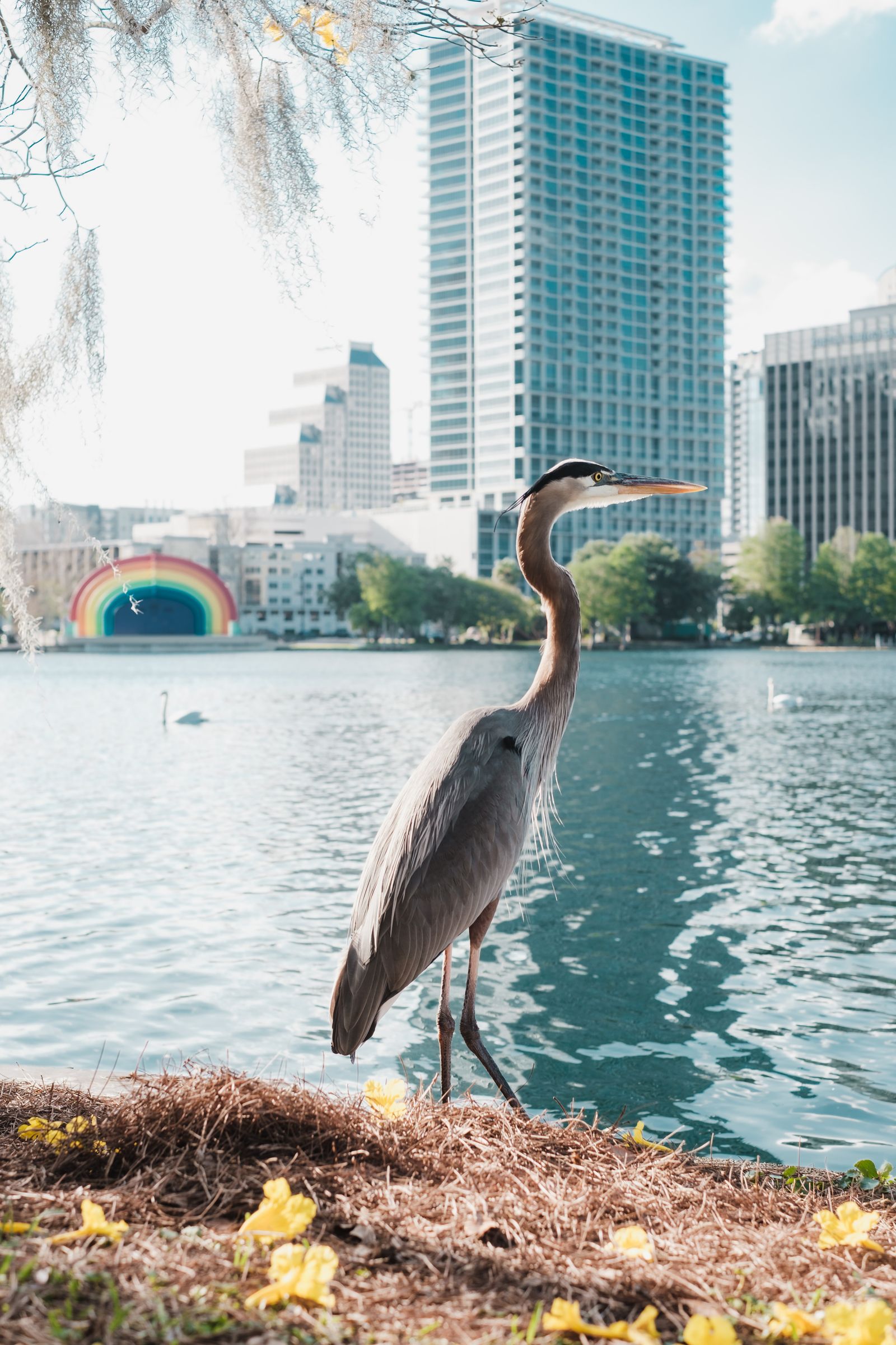 Downtown Orlando, Florida — Parks & Recreation