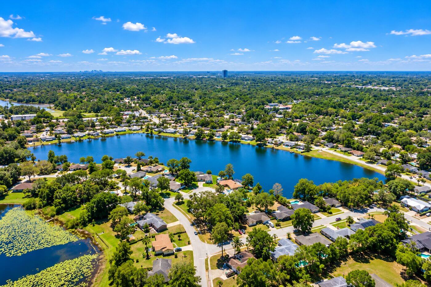 Tree-lined neighborhood in Longwood, Florida