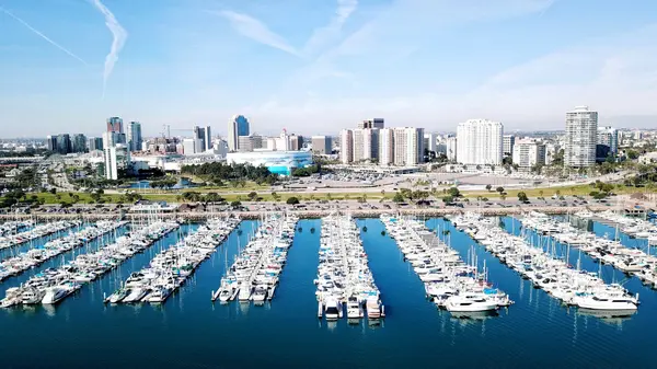 Long Beach homes for sale - aerial view of coastal Long Beach with palm-lined streets and market trend papers on desk