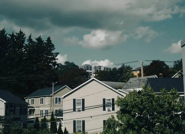 Evergreen trees and homes in a Puget Sound neighborhood