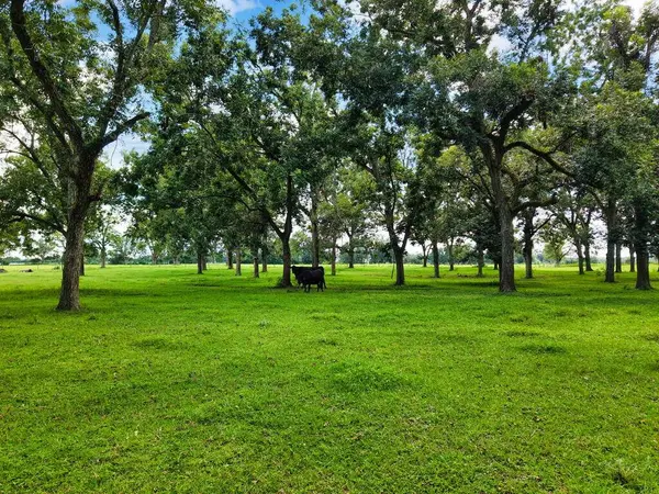 4250 120th St, Chiefland, FL 32626