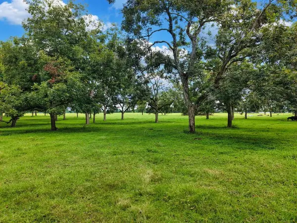 4250 120th St, Chiefland, FL 32626