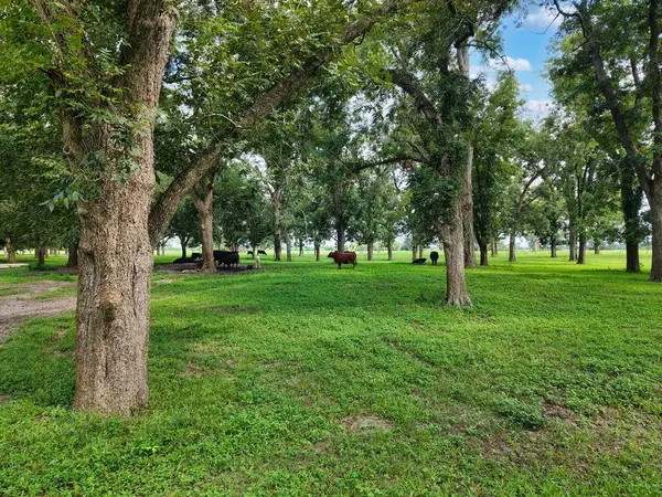 4250 120th St, Chiefland, FL 32626