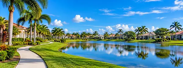 Tropical Lakeside Neighborhood Reflections