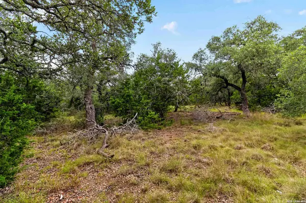 34893 THANKSGIVING TRL, Bulverde, TX 78163