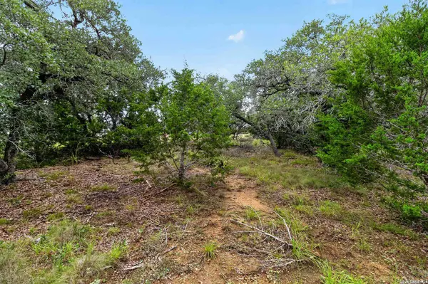34893 THANKSGIVING TRL, Bulverde, TX 78163