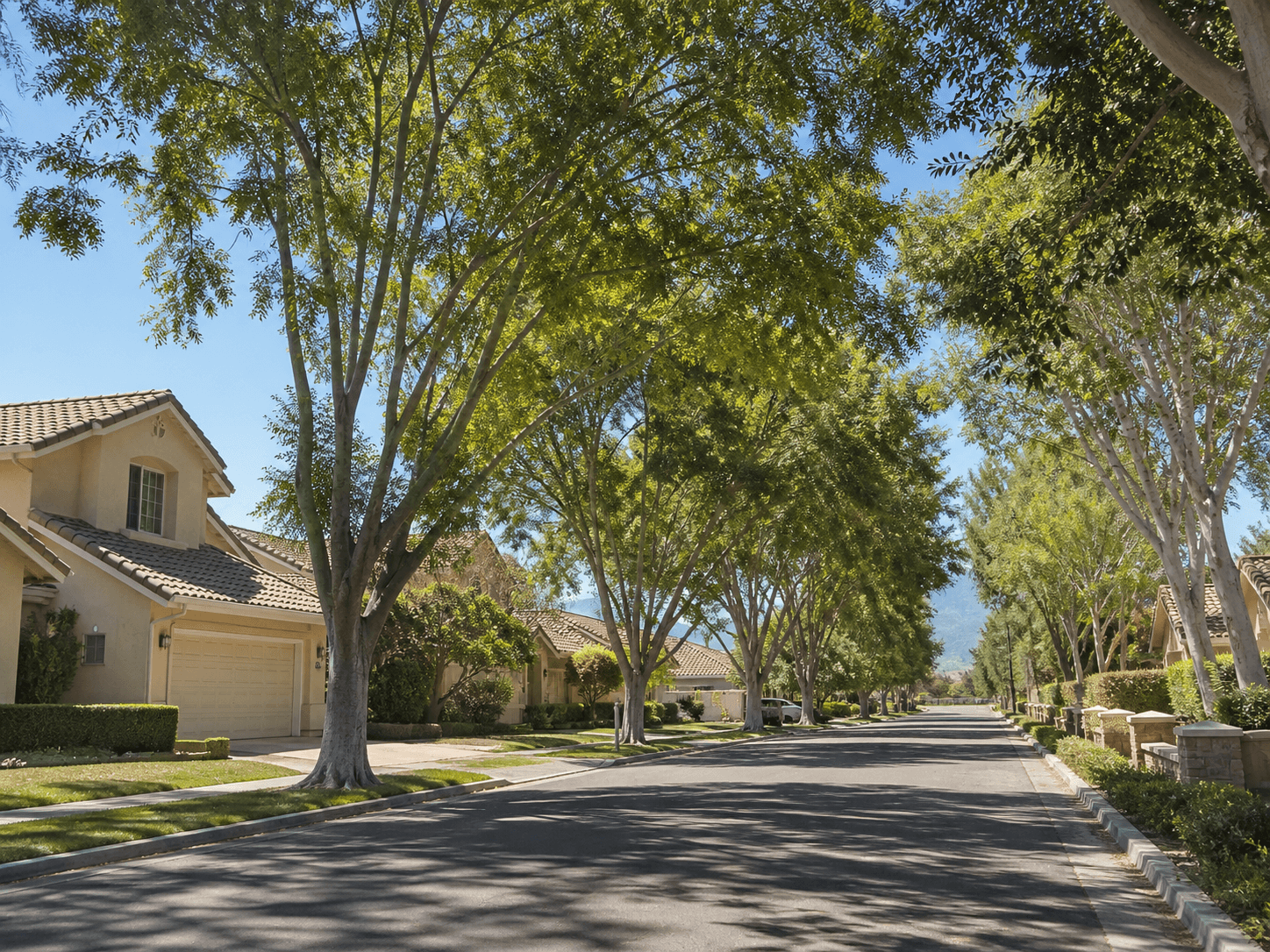 Established tree-lined street in San Bernardino, California
