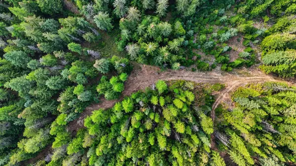 Buying Acreage in North Idaho: 12 Things to Know Before You Buy