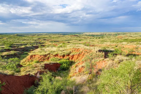 15 Best Things to Do in Amarillo, TX,OnDemand Realty Amarillo