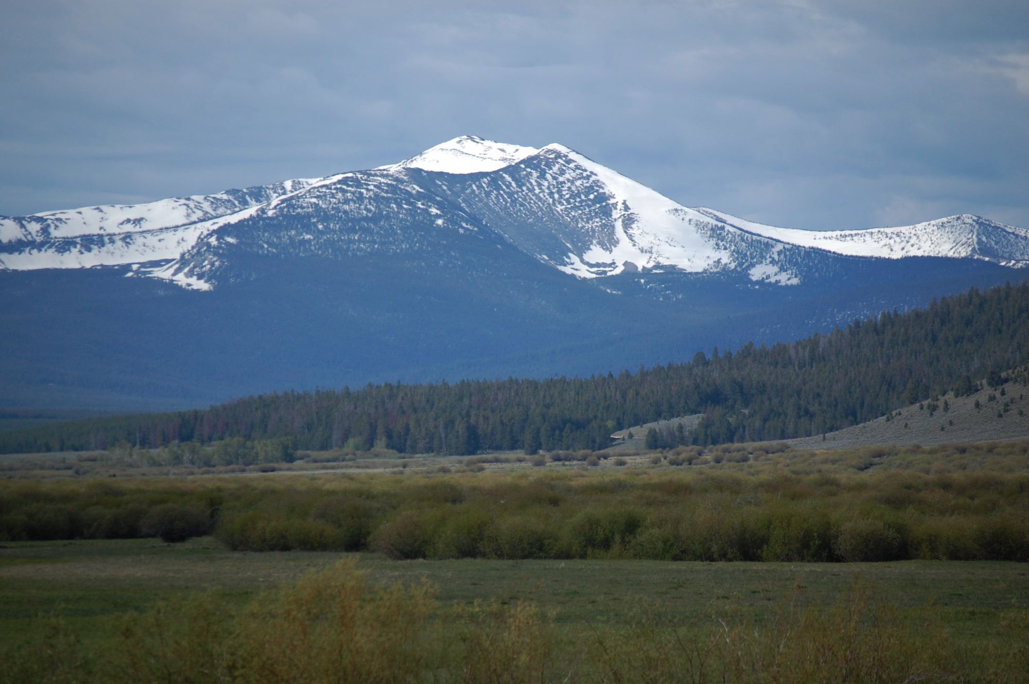 montana-collective-group