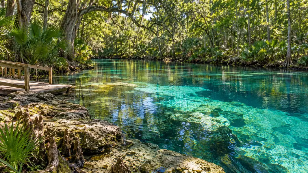 High Springs
