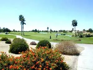 Alta Mesa