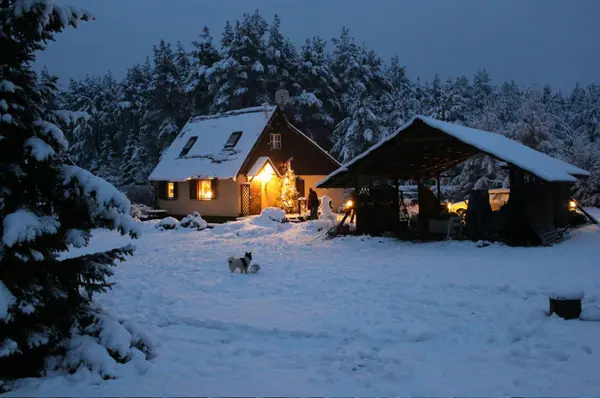 Cozy home lit up on a snowy winter evening