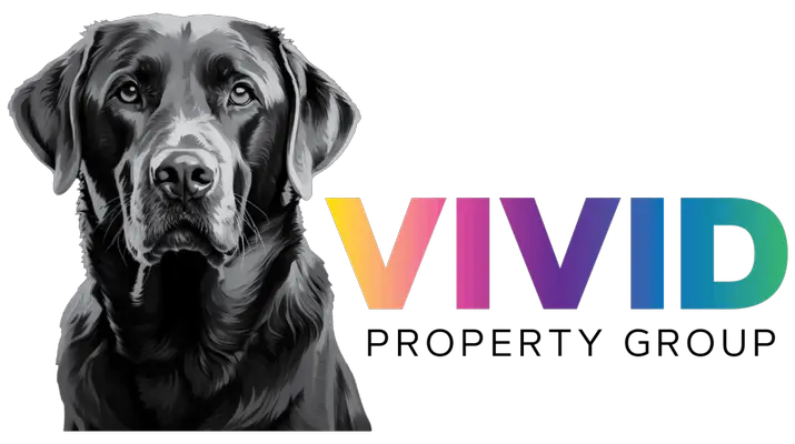 Vivid_Color Black (1) (1)