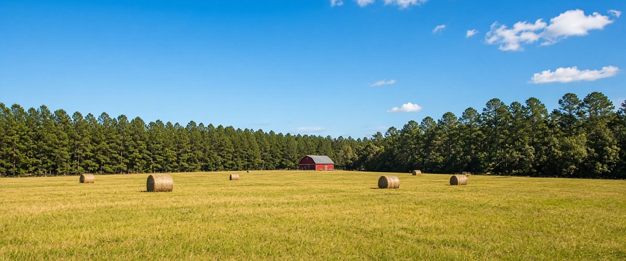 Hay field and red barn near Bell, Florida