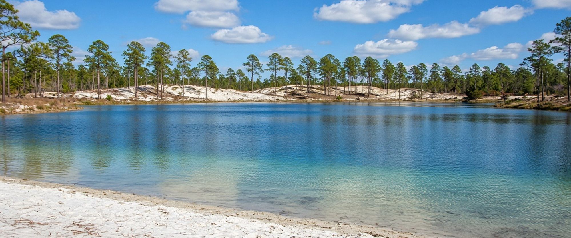 Clear sand-bottom lake among pines in Interlachen, Florida