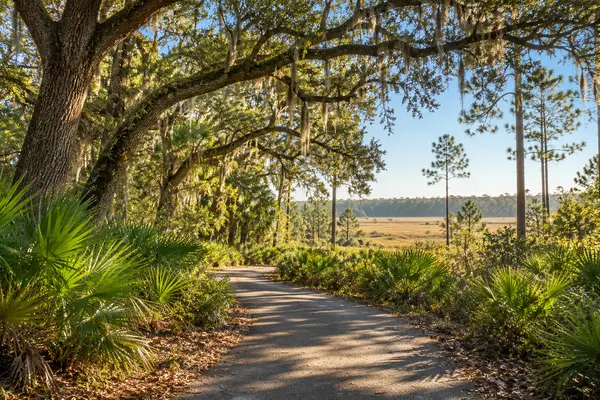 chessie-flanders-alachua-county-neighborhood