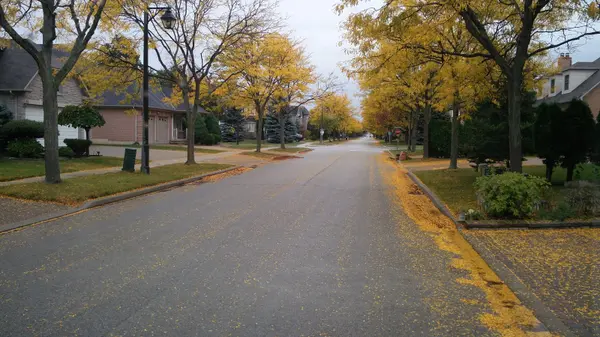 Tree-lined residential street