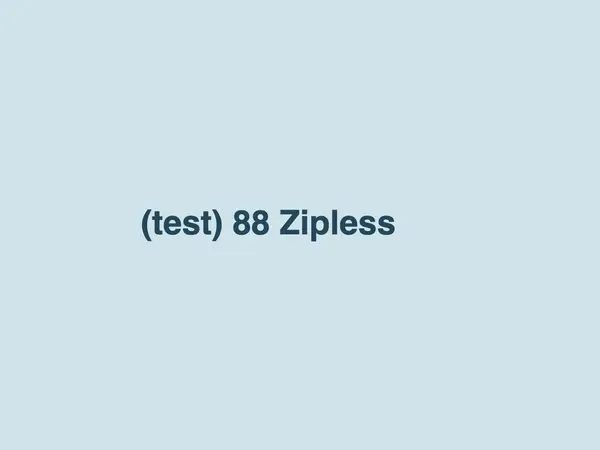 88 Zipless Test Ln, Austin, TX 78704