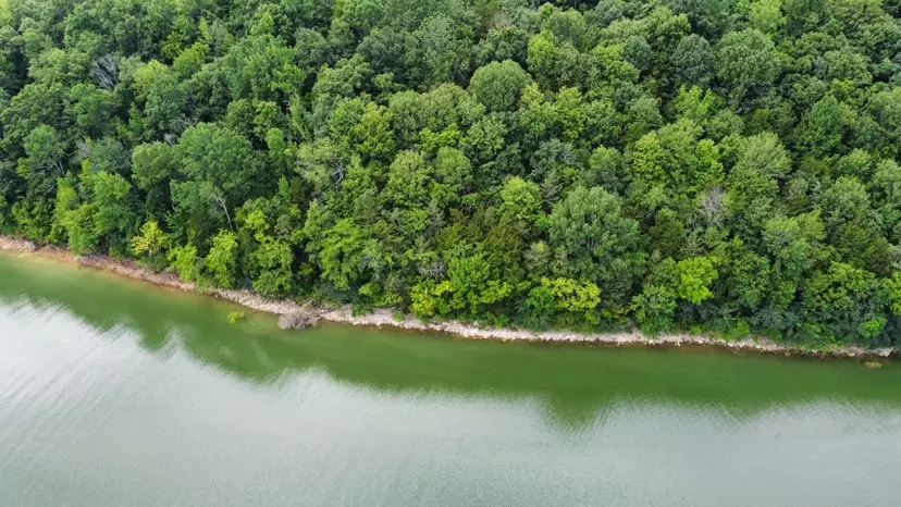 Lakeside Dr, Smithville, TN 37166