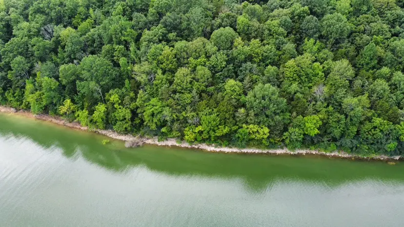 Lakeside Dr, Smithville, TN 37166