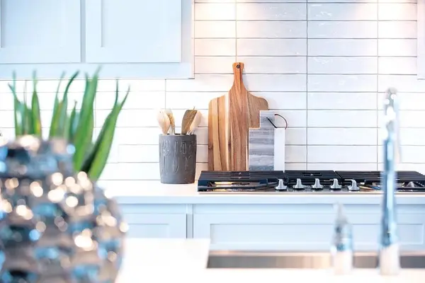 2048 Carlisle Ct, Prosper, TX 75078