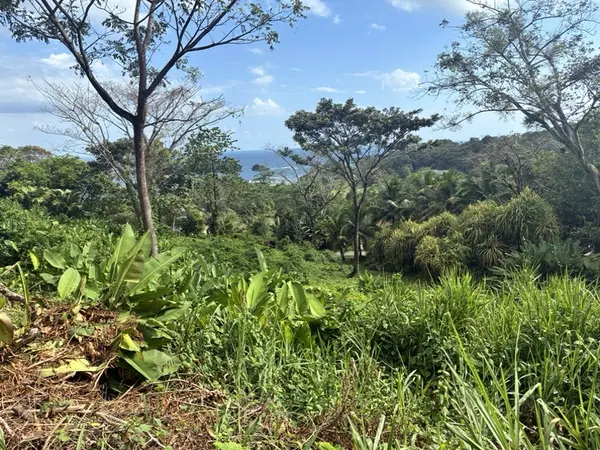 Lot 43 - Red Frog Beach, 