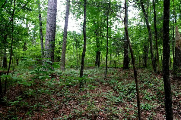 3075 Cove Crossing Dr, Lawrenceville, GA 30045-8659