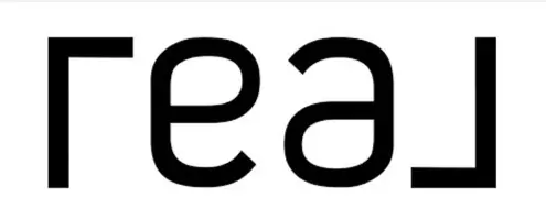 Real Broker LLC