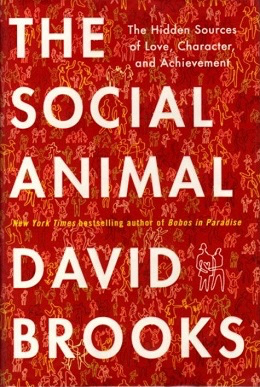 Image The_Social_Animal_(David_Brooks_book).jpg