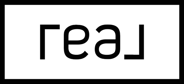 feature image of Discovering New Smyrna Dune Park: Nature’s Playground on the Coast