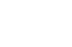 The Luxe Group Inc.