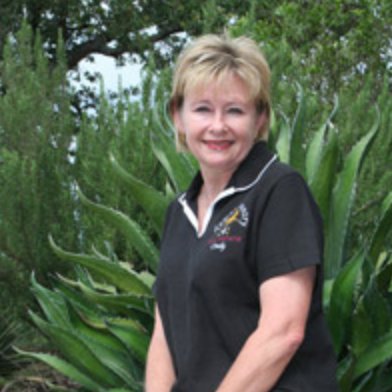 Cindy Collins