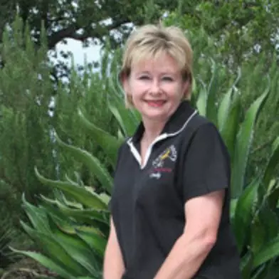 Cindy Collins
