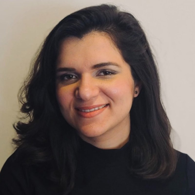 Amna Hussein