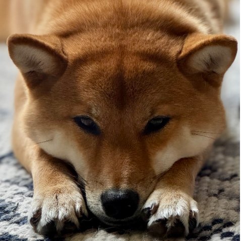 Keiko Home Girl
