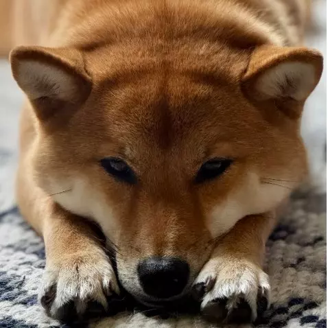 Keiko Home Girl