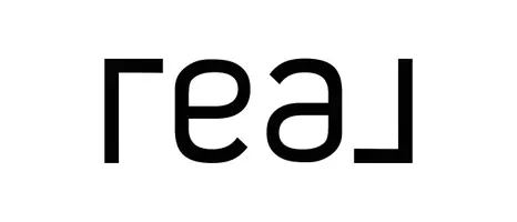 Real Broker LLC