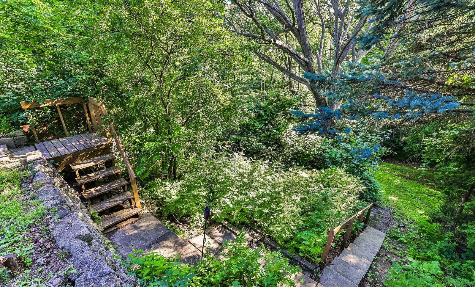 Backyard stairs and garden at 224 Ellis Avenue