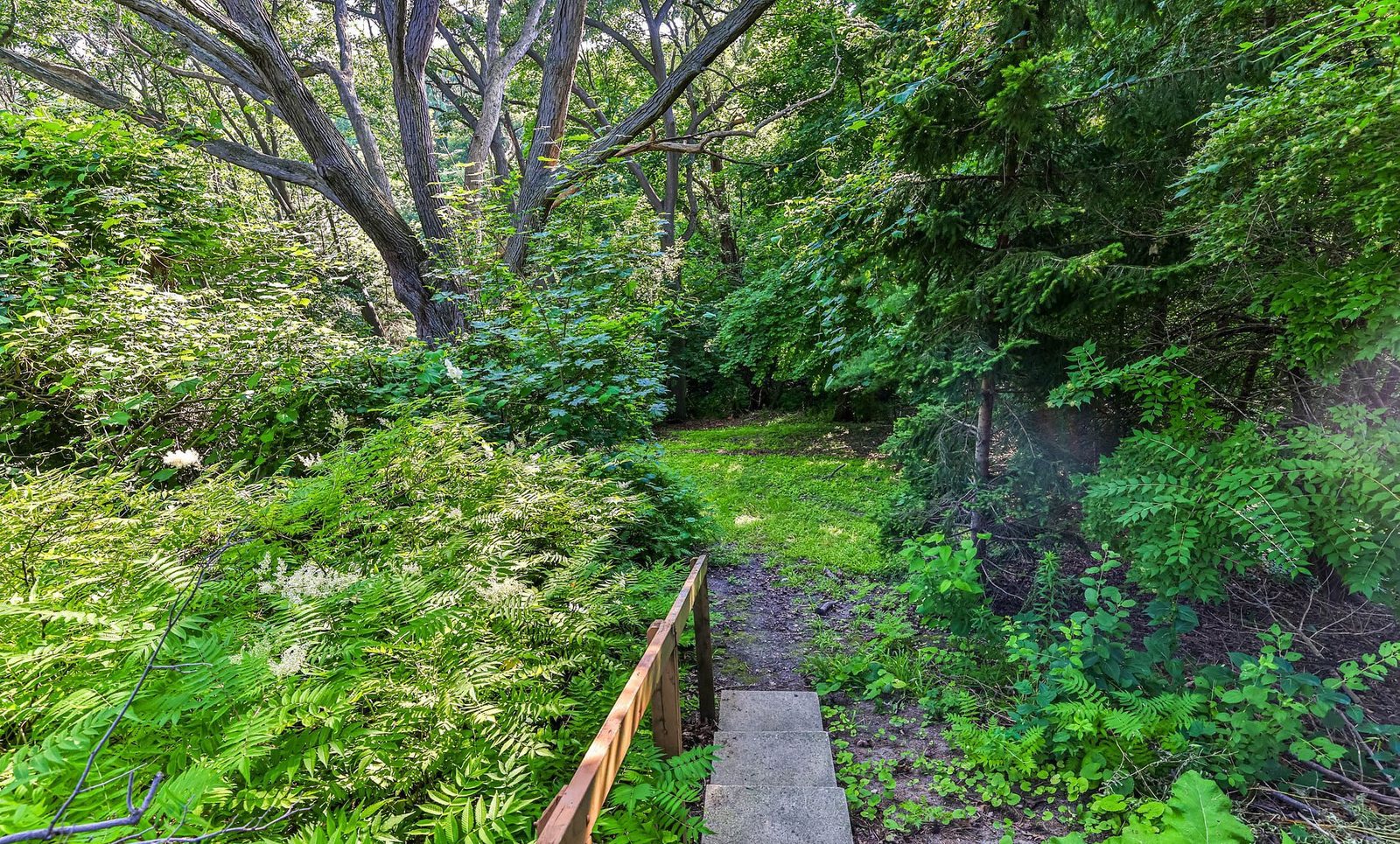 Garden path at 224 Ellis Avenue